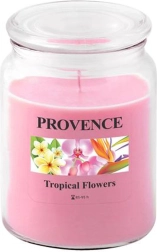 Dišeča sveča v kozarcu PROVENCE tropsko cvetje 95 ur