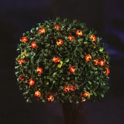 Sončna LED svetlobna veriga z božjimi pikapolonicami, 2,4 m, 25 LED, topla bela