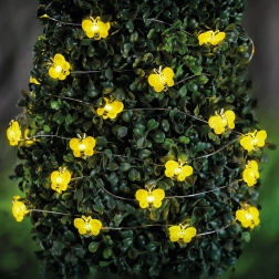 Solarna LED svetlobna veriga s čebelicami, 2,4 m, 25 LED, topla bela
