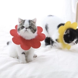 Mehak pooperativni zaščitni ovratnik za hišne ljubljenčke, rdeč – velikost L