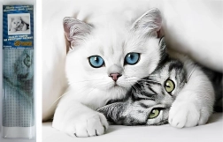 Diamantno slikanje Mačja skrivnost 30 × 40 cm Norimpex