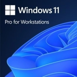 Windows 11 Pro for Workstations OEM (PL, 64-bit)