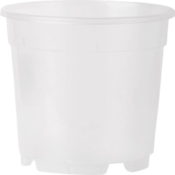 Prozoren lonček za orhideje 14 cm, 1,25 l