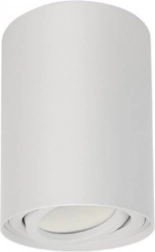 Stropna točkovna svetilka GU10 Bela