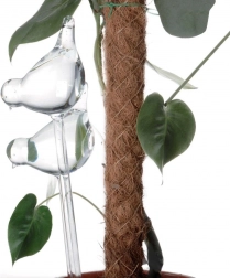 Steklene samozalivalne krogle za lončnice – ptički, 2 kosa