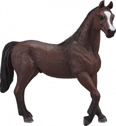 Mojo arabski žrebec