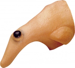 Čarovniški nos z bradavico