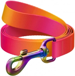 Povodec za pse WAUDOG, širok 20 mm, dolg 122 cm, oranžen