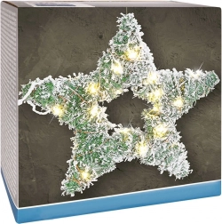 Svetleča zvezda z LED, 58 cm, zasnežena borovnica