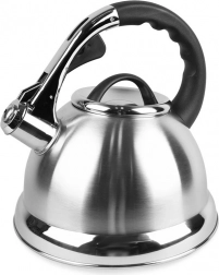 Nerjavni čajnik 2,8 l Maestro