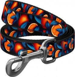 Najlonski povodec za pse z motivom Pomaranče 122 cm Waudog