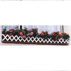 Okenska gredica 70–80 cm bela