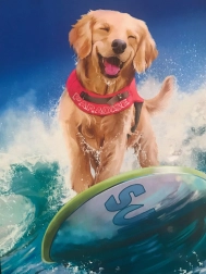 Komplet za diamantno slikanje 5D 30 × 30 cm – mozaik z kamenčki