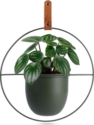 Zeleni kovinski viseči ovoj za lonček Home Styling Collection 30 × 30 cm