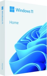 Windows 11 Doma 64-bit USB ključ