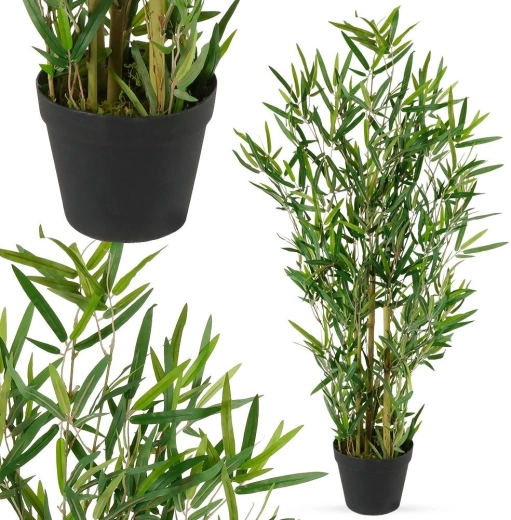 Naravno delujoči listi in stebla