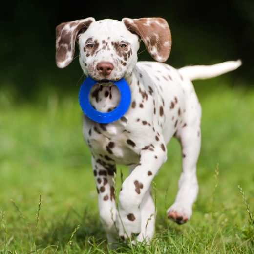 Kontrastne barve za enostavno sledenje