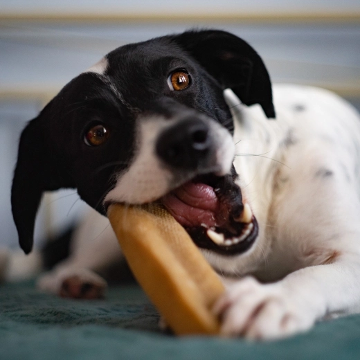 Naravna nega zob in dolga obstojnost