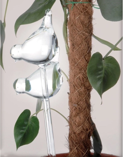 Enostavna namestitev v vsak lončnik