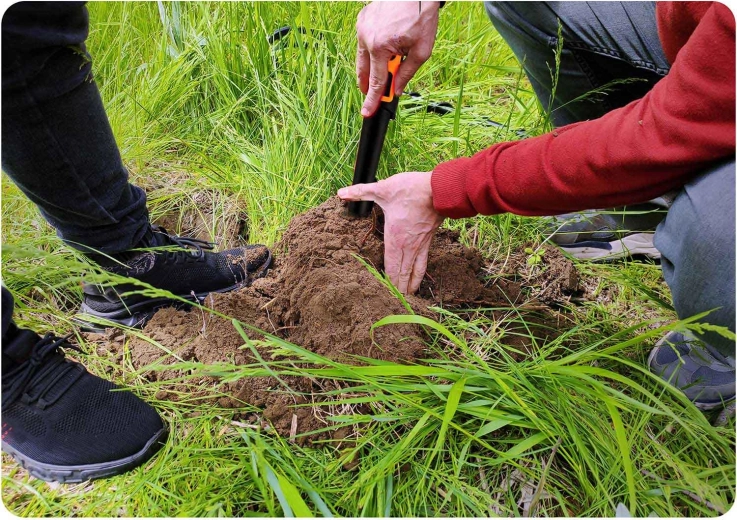 360° sondiranje in natančno lociranje s konico