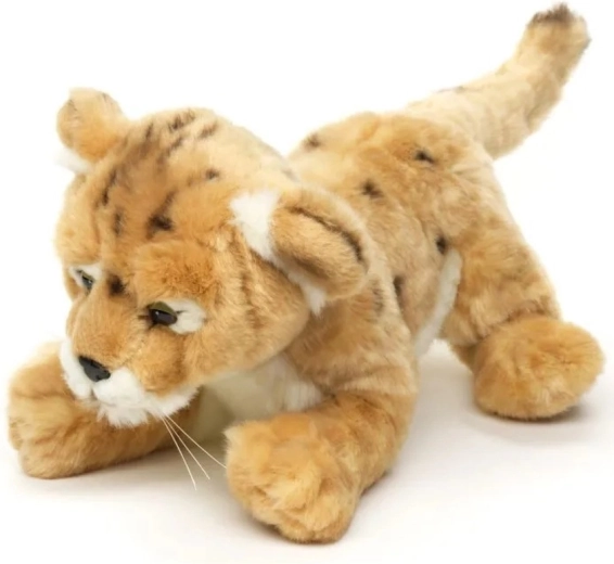 Approximately 35 cm in size