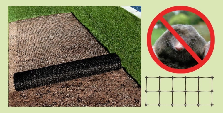 Učinkovita pregrada proti krtičem