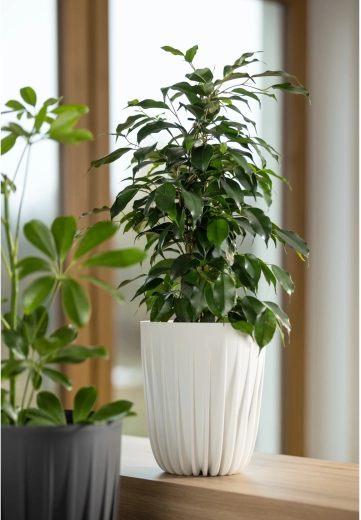 Lahek, trpežen in pripravljen za zunaj