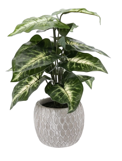 Nezahtevna celoletna dekoracija