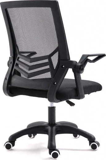 Ergonomic back support