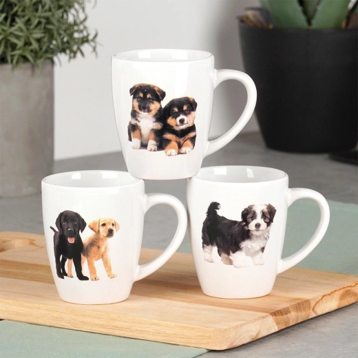 Brezskrbno vzdrževanje: pomivalni stroj in mikrovalovka