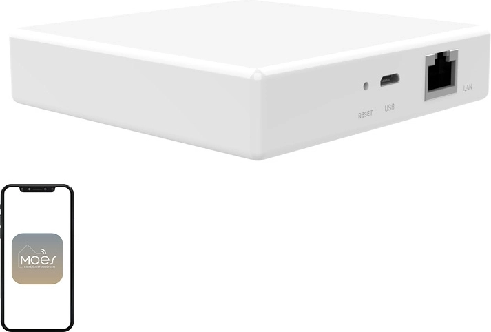 Prehod MOES MZHUB za ZigBee, Matter in Thread