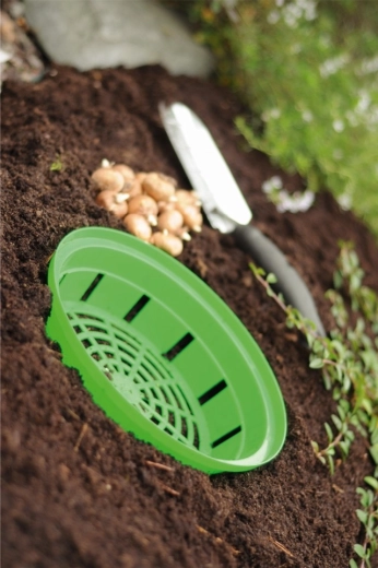 Enostavno odstranjevanje in presajanje