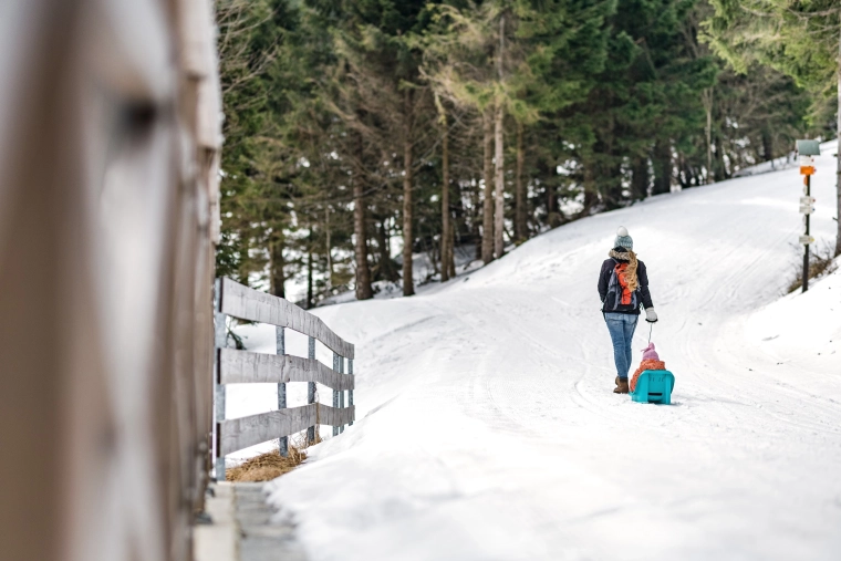 Lahko vlečenje po snegu