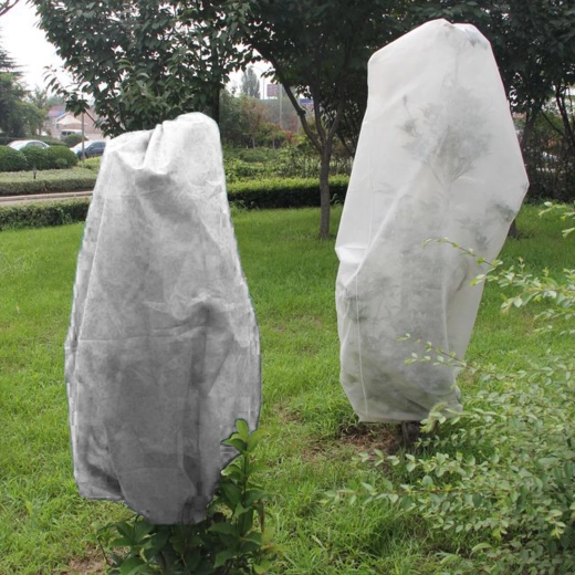 Zaščitna kapuca za rastline iz agrotekstila 1 × 1,6 m, bela, 30 g/m² (3 kos)