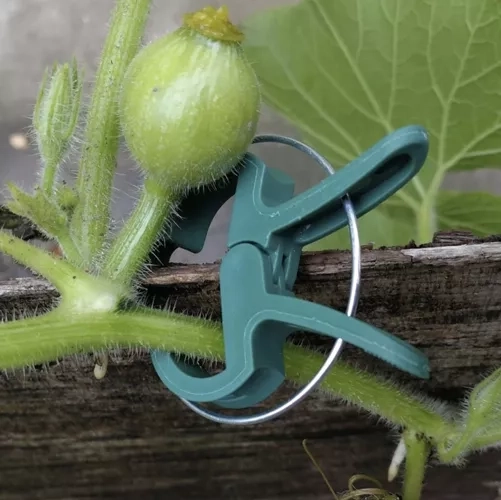 Gentle fastening without damaging stems