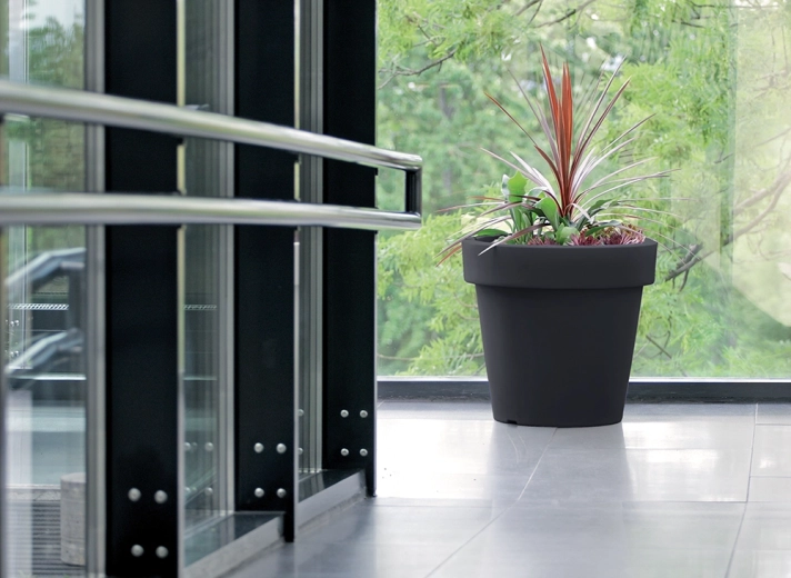 Velik volumen za zdrav rast rastlin