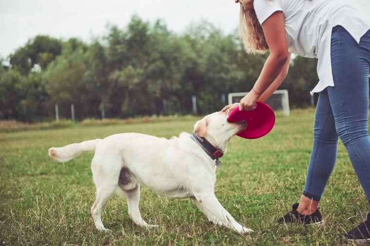 Visoka vidnost v parku in v zraku
