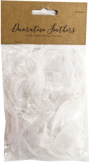 Decorative Feathers – White