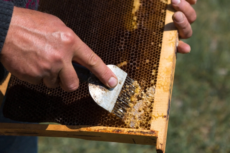 Natančne nerjavne konice za čisto odkrivanje