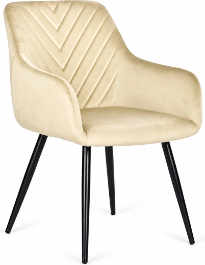 Žametno oblazinjenje za eleganten interier