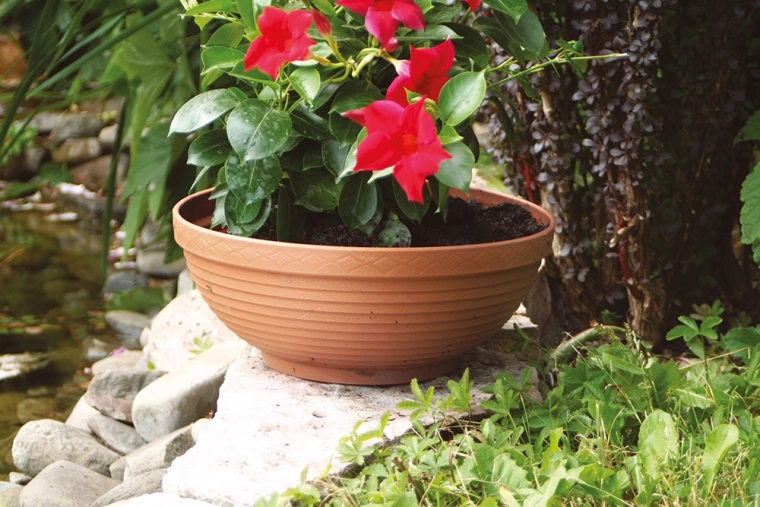 Pripravljena za zunanjo uporabo