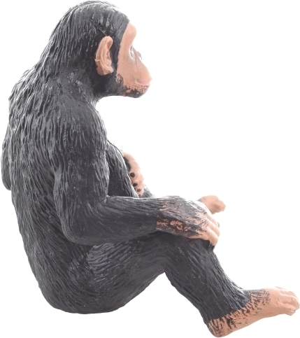 Odlično za izobraževanje in ustvarjalnost