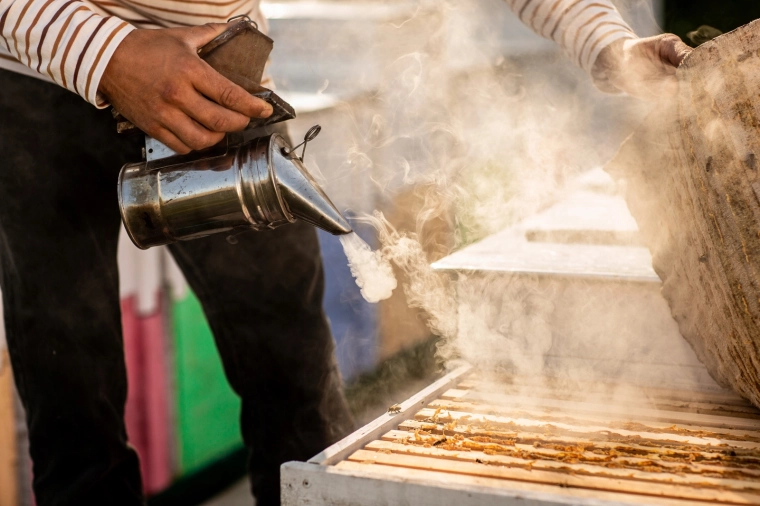 Natančno pomirjanje čebel med pregledom panja