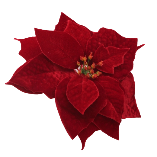 Elegantna bordo barva za praznično vzdušje