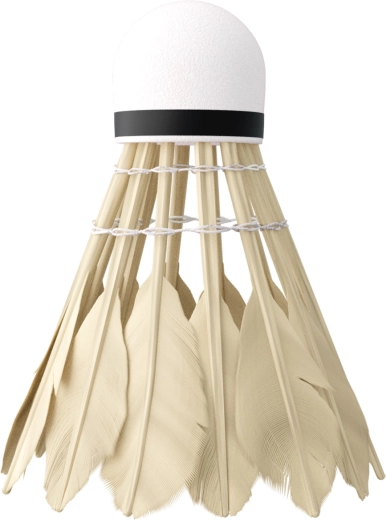 Stabilen in hiter let zaradi račjih peres