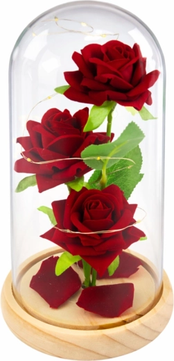 Elegantna steklena kopola