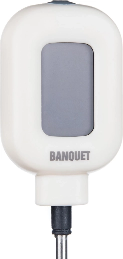 Pregleden digitalni zaslon