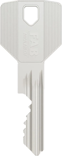 Varnostna kartica in 5 ključev v kompletu