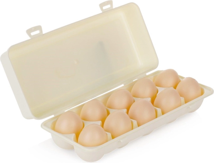 Orion plastic box for 10 eggs