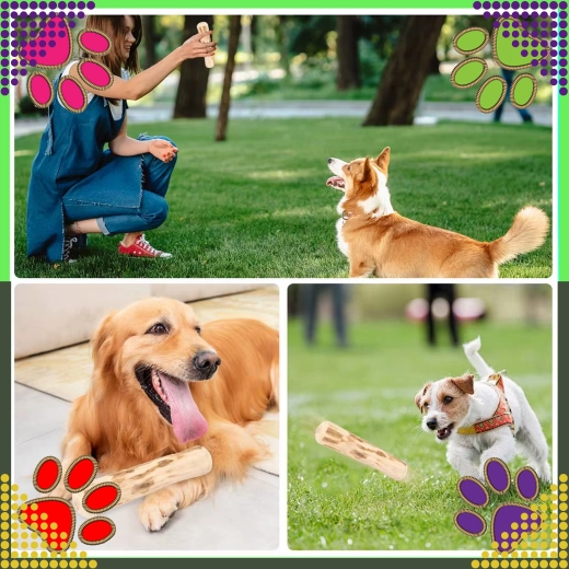 Zabava za žvečenje in prinašanje